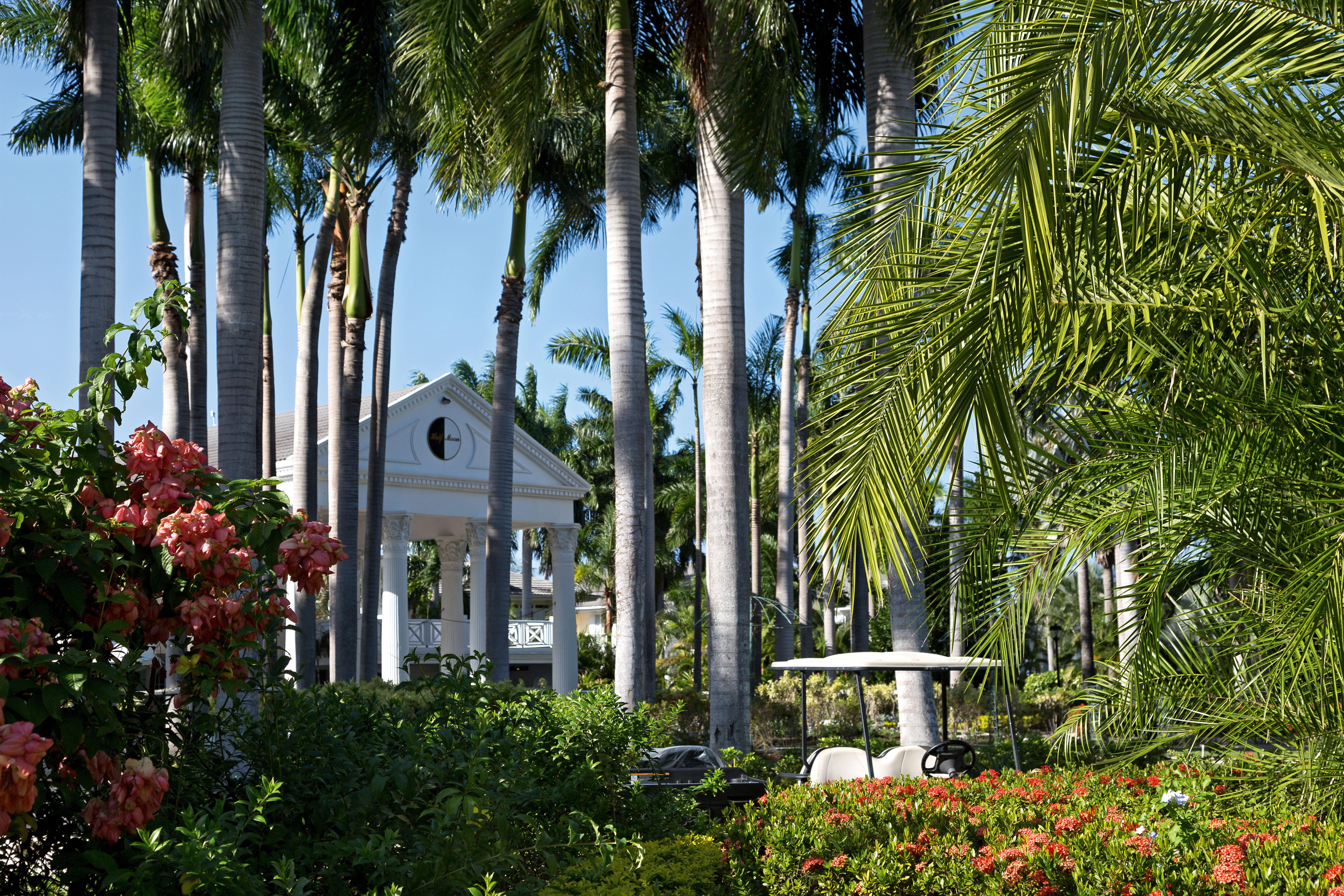 Half Moon Hotel Montego Bay Exterior foto